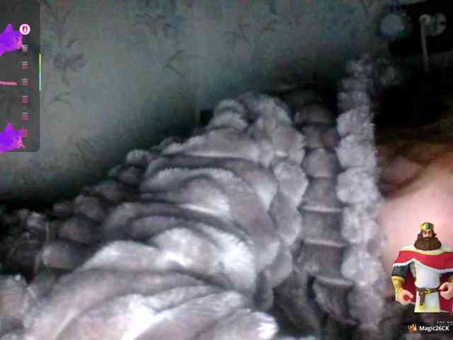 Draznilkina webcam