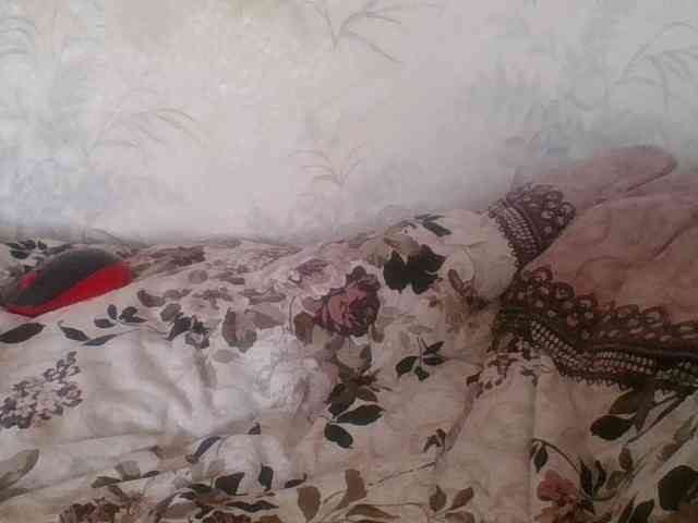 Mila23-1-1 Mila23-1-1