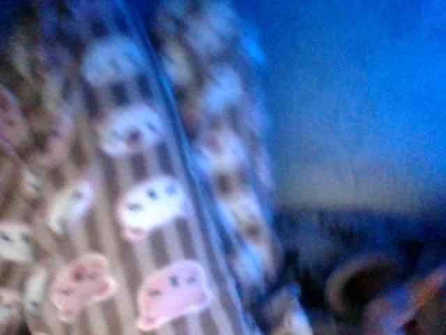 Draznilkina webcam
