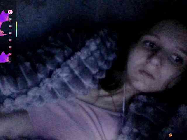 Draznilkina webcam