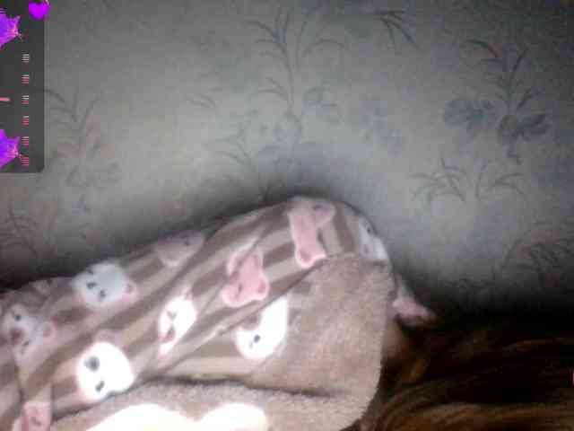 Draznilkina webcam