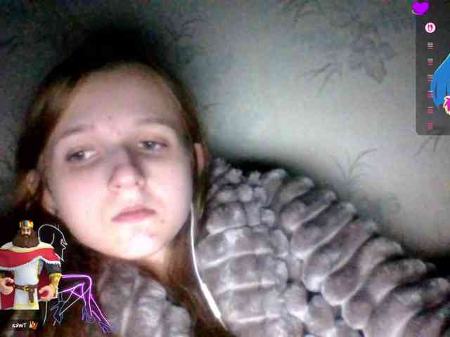 Draznilkina webcam