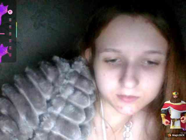 Draznilkina webcam