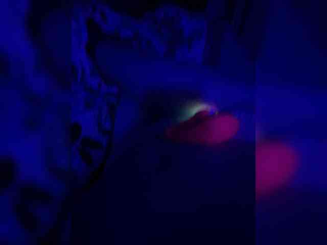 Kitty20Meow webcam