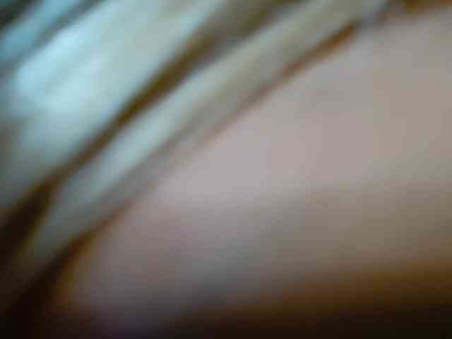 BarbiBentley BarbiBentley