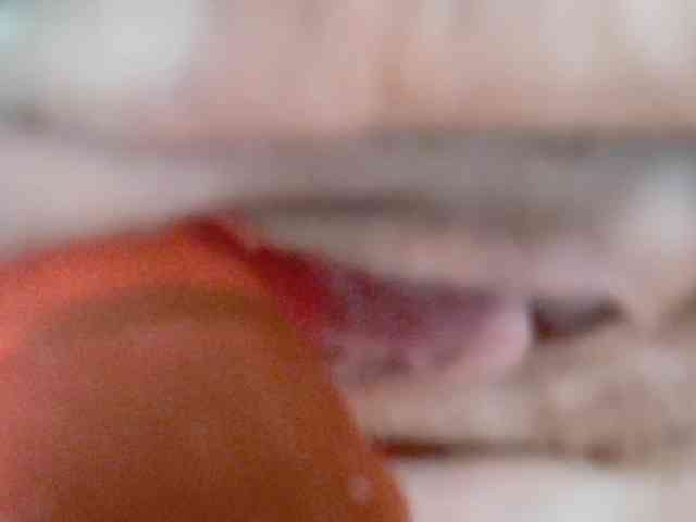 BarbiBentley Live Webcam on BongaCams