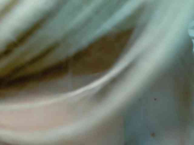 BarbiBentley BarbiBentley