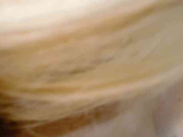 BarbiBentley BarbiBentley