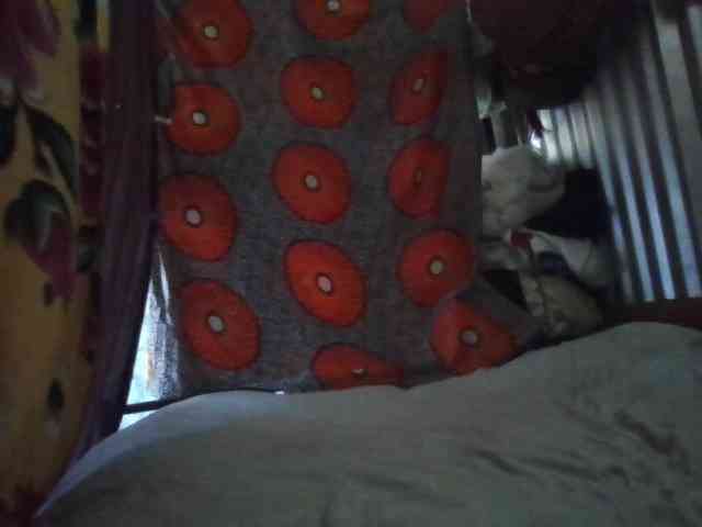 Licieol webcam