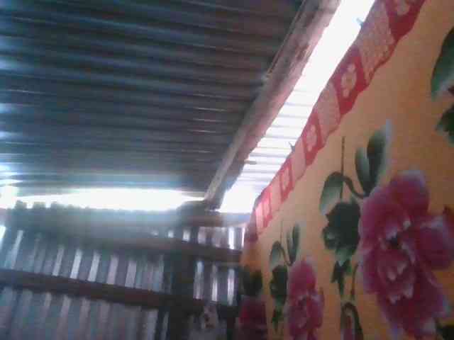 Licieol webcam