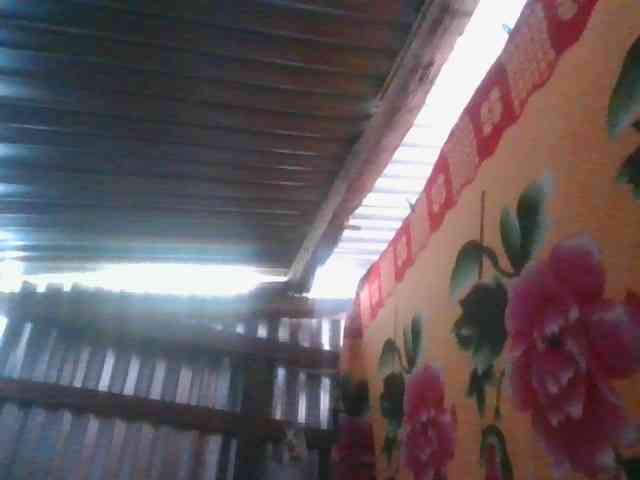 Licieol webcam
