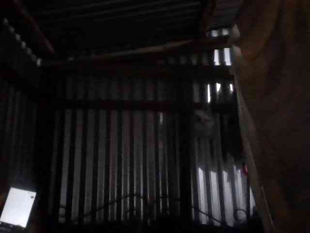 Licieol webcam