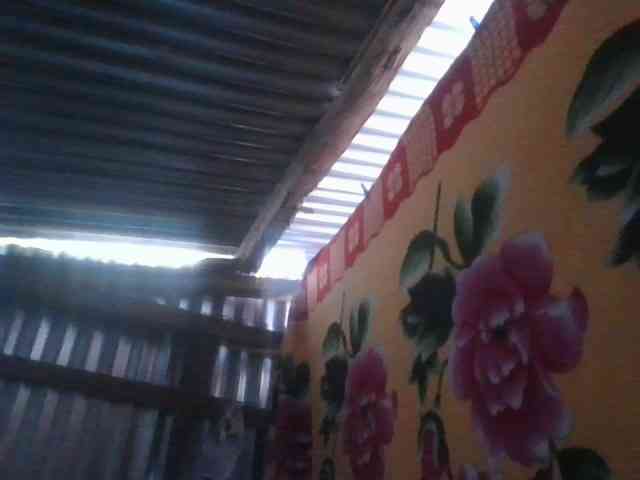 Licieol webcam