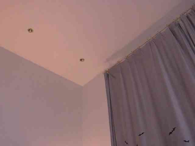 KimOberlin Live Webcam on BongaCams