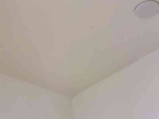 Dulce-Bella webcam