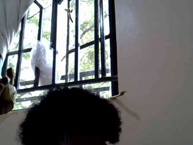 queen-sly webcam