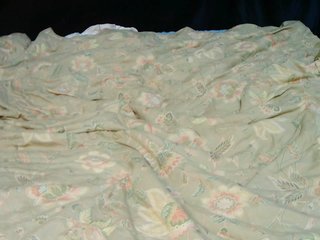 dark-angela Porn Show