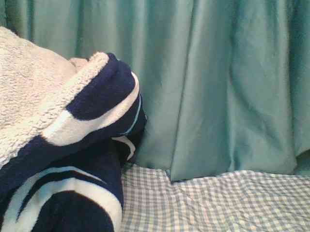 Horny-vyxen Horny-vyxen