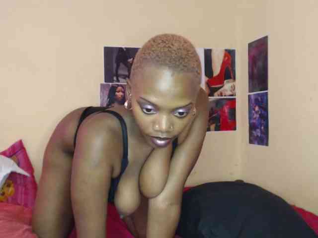 PinkDomina01 PinkDomina01