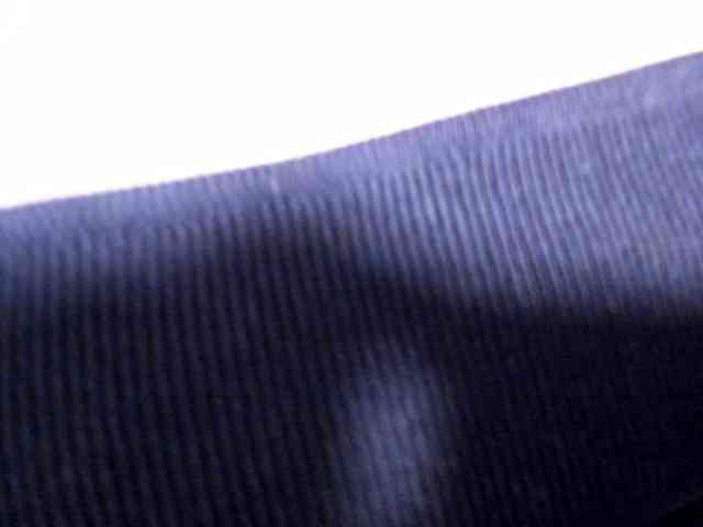 SarahCastillo webcam