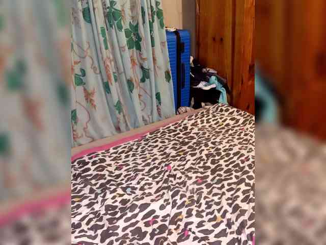 Cocobloom webcam