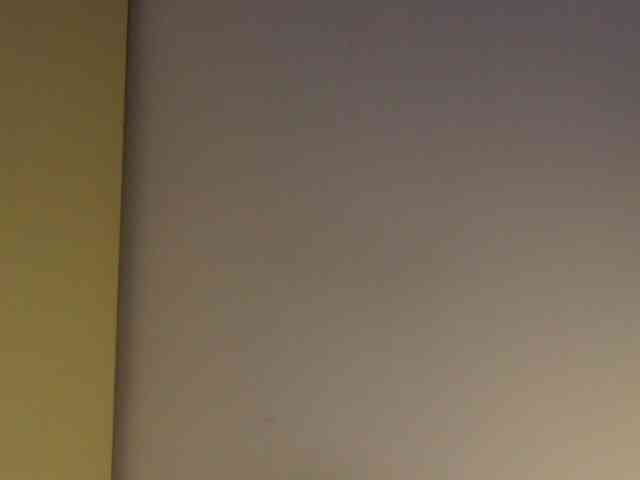 LylianRose LylianRose