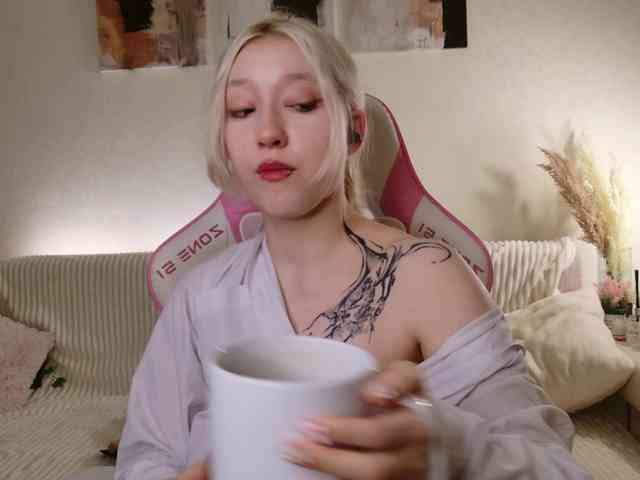 tinymia webcam
