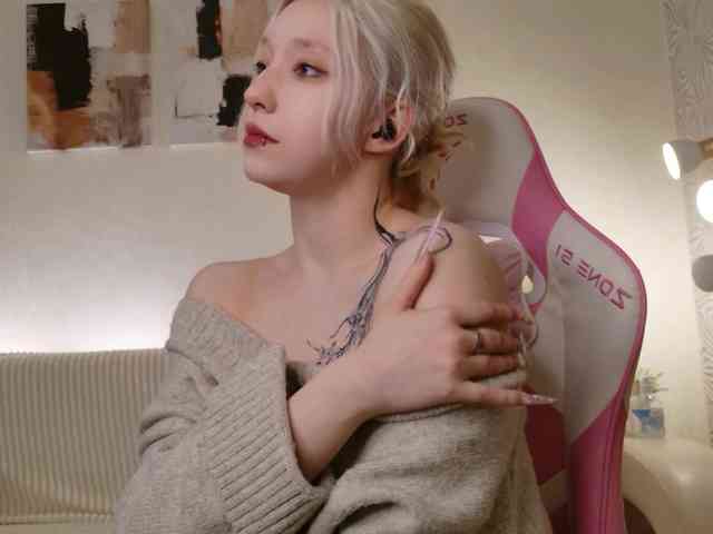 tinymia webcam