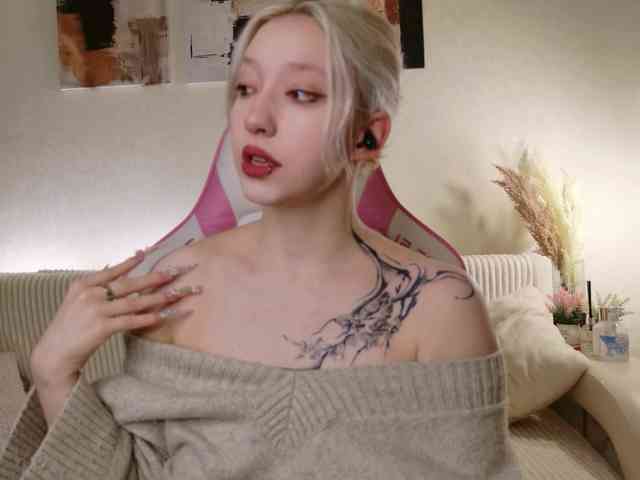 tinymia webcam