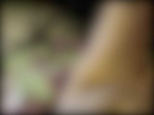 nosferatu6666's BongaCams show and profile