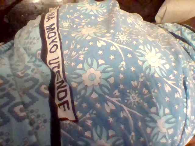 missarpie webcam