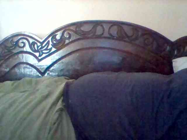 missarpie webcam