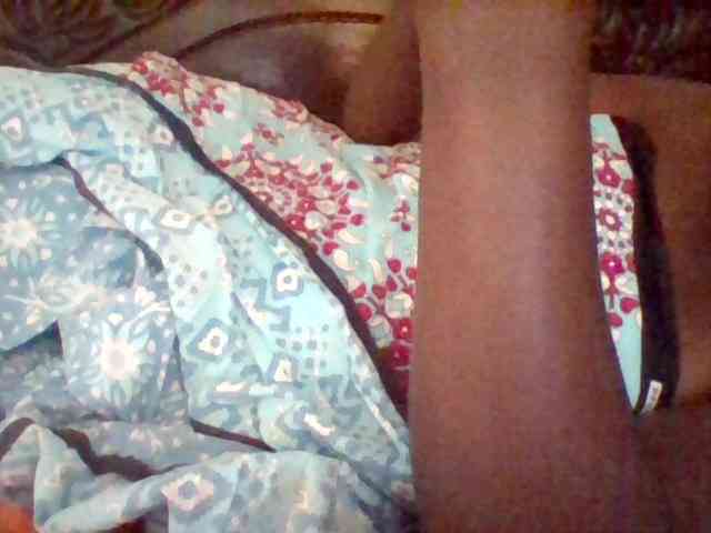 missarpie webcam