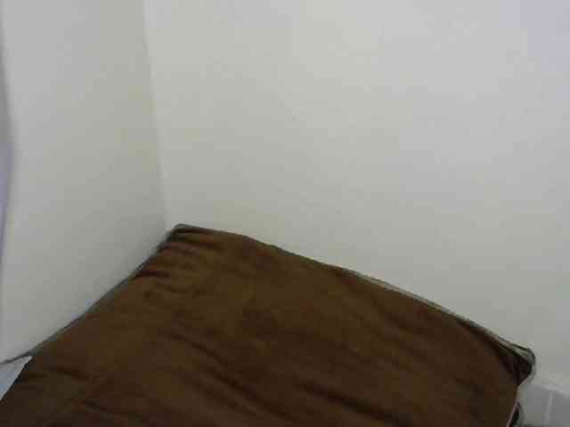 prettyquin254 webcam