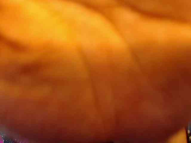 PowerPupCouple Live Webcam on BongaCams