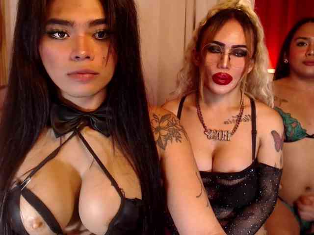 PowerPupCouple Live Webcam on BongaCams