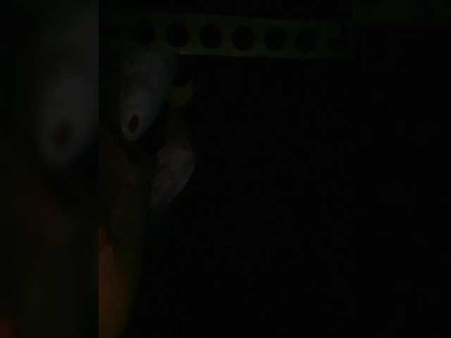 Preview of petrafrancesa2