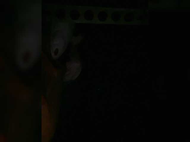 Preview of petrafrancesa2