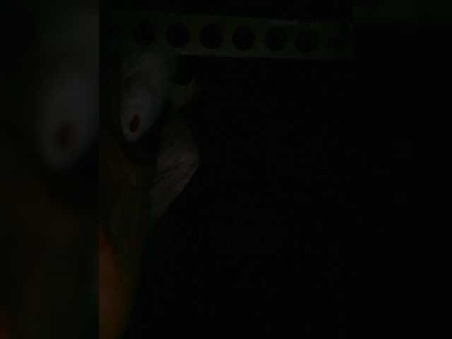 Preview of petrafrancesa2