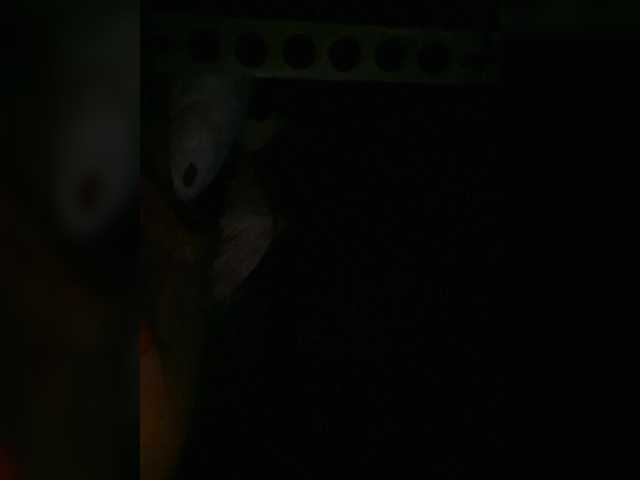 Preview of petrafrancesa2