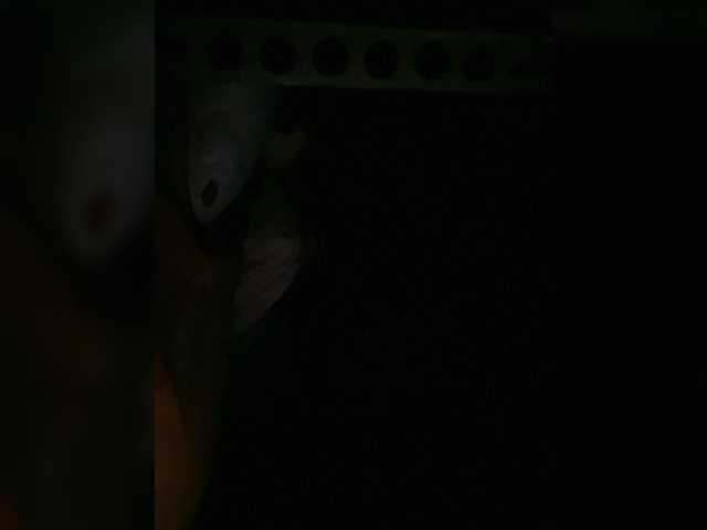 Preview of petrafrancesa2