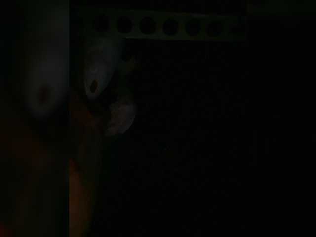 Preview of petrafrancesa2