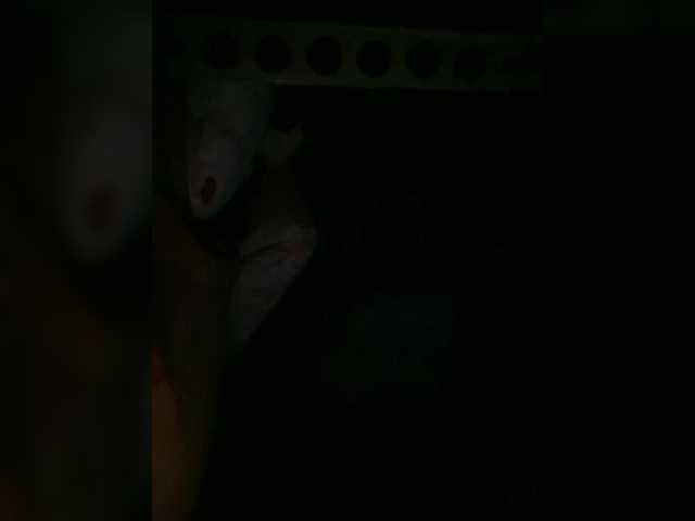 Preview of petrafrancesa2