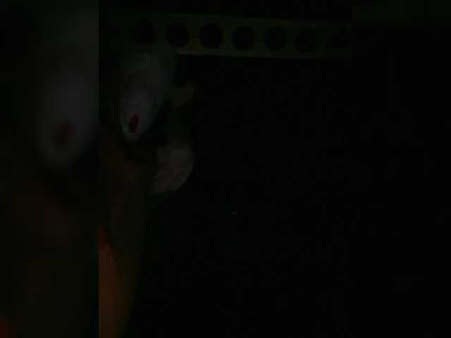 Preview of petrafrancesa2