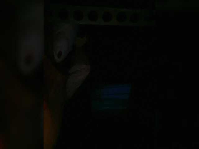 Preview of petrafrancesa2