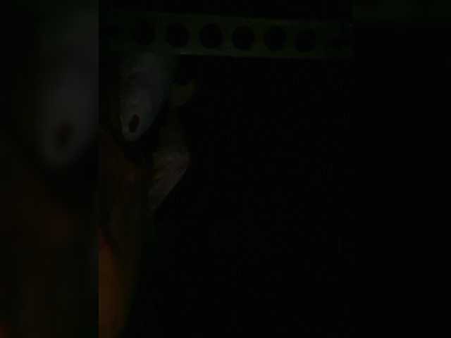 Preview of petrafrancesa2