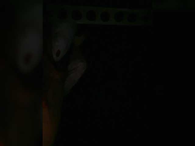 Preview of petrafrancesa2