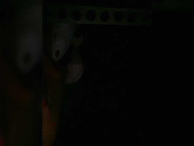 Preview of petrafrancesa2