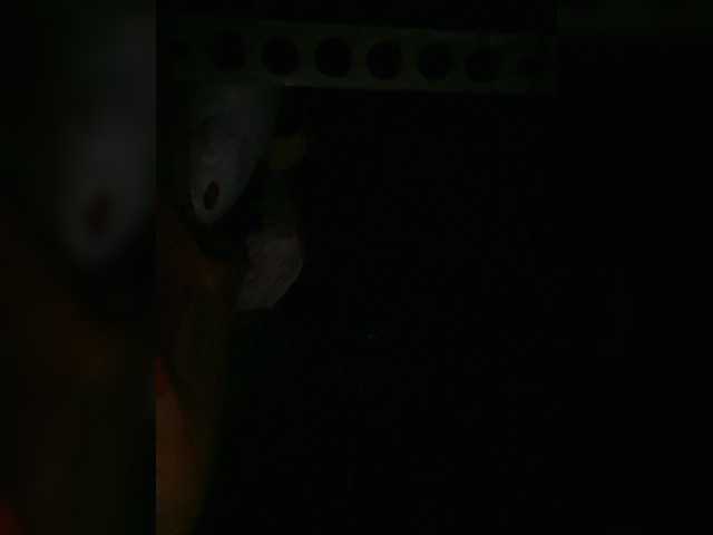 Preview of petrafrancesa2