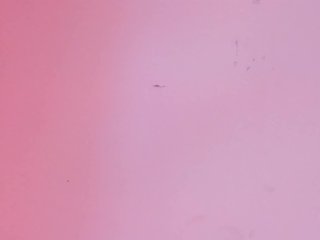 Pamela-Velvet Porn Show